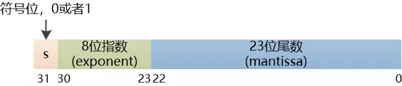 IEEE.webp